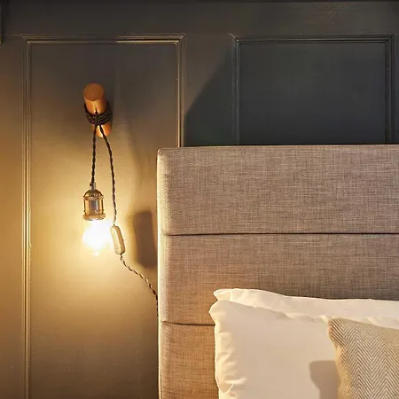 Host & - Daisy * Машам