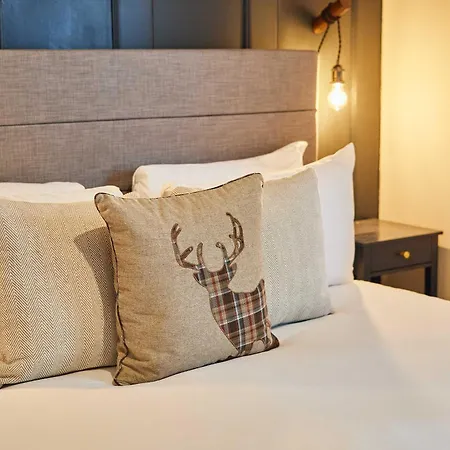 Дом отдыха Host & - Daisy Машам