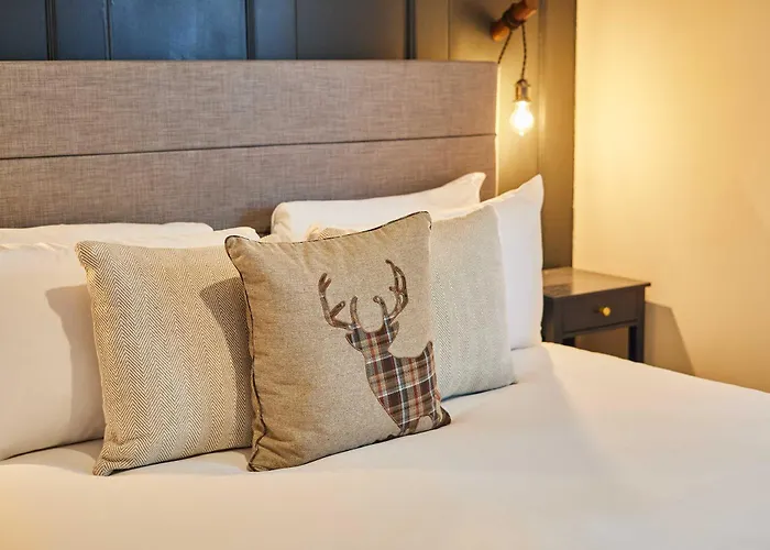 Hébergement de vacances Host & - Daisy Masham