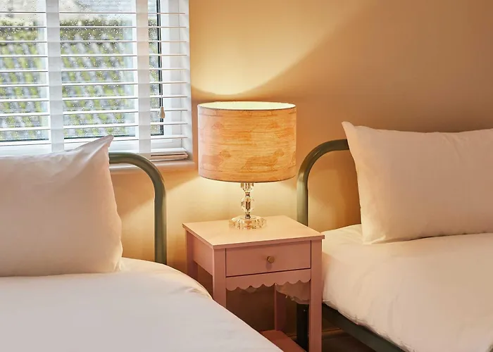 Host & - Daisy * Masham